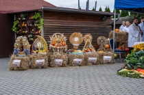 Urz�d Miejski w Wolsztynie