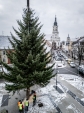 Urz�d Miejski w Wolsztynie